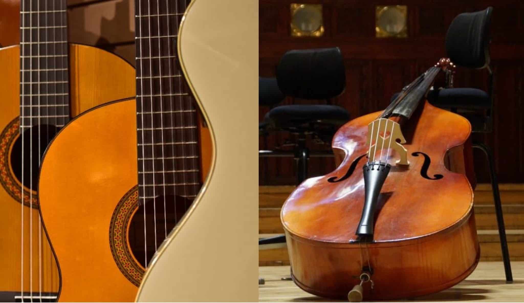 Guitar Vs Cello What Is The Difference? Home Recordio