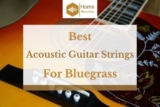 6 Best Acoustic Guitar Strings for Bluegrass
