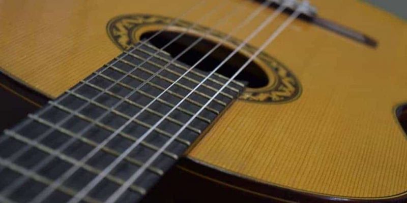 Washburn Acoustic Guitar Reviews – Top 6